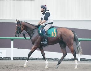 【小倉２歳Ｓ】台風の影響を考慮　エンドレスサマーなど美浦の中京出走馬は金曜早朝までに移動