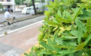 宮城、今夜遅くにかけ大雨の見込み　気象台が警戒呼びかけ