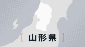 山形県産サクランボ、高温で記録的な凶作に　ブランド力低下に危機感