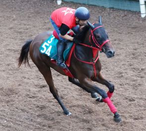 【小倉２歳Ｓ】九州産馬エイヨーアメジストは仕上がり上々　牧田調教師「出来はひけをとらない」