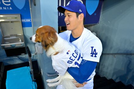 大谷が握っていた“デコピンのおやつ入れ”　同形状が品薄状態の大反響、メーカー「問い合わせ増」嬉しい悲鳴