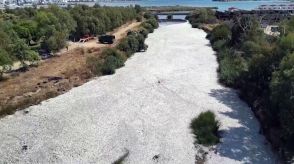 異常気象の影響で淡水魚大量死　ギリシャ中部地元経済に打撃