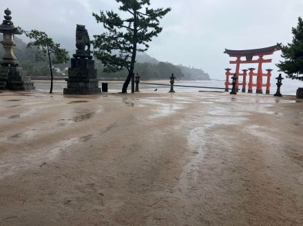 台風10号接近　宮島、消えた観光客　フェリー終日運休、静まりかえる観光の島　広島県廿日市市