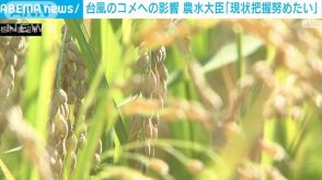 台風によるコメへの影響　農水大臣「現状把握努めたい」