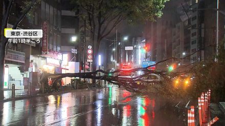 【遠隔豪雨】台風10号で関東にも大雨…渋谷で倒木電線引きちぎる、八王子観測史上1位6時間降水量203ミリ、目黒川や善福寺川も一時氾濫危険水位に