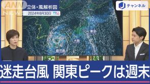 迷走する台風10号　まもなく再上陸へ　関東は週末がピークに