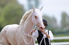 【札幌2歳S】ここ数年で激変！3年続けてクラシック候補を輩出した特殊傾向が導く爆穴