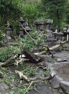 国指定史跡「垂水島津家墓所」の石灯籠が倒壊　台風10号の影響で倒木直撃か　垂水