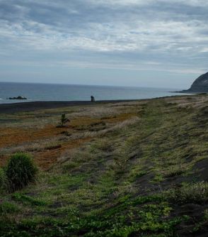 なぜ「日本兵1万人」が消えたままなのか…硫黄島に上陸してわかった「ひとつの答え」