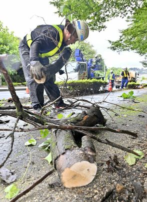 台風10号被害警戒 栃木県内でも備え　倒木対策で街路樹伐採　梨農家は収穫急ピッチ