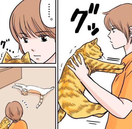 【漫画】断固として“抱っこ”させてくれない！　予想外の愛猫たちの行動に「面白すぎ」「カチコチ（笑）」【作者インタビュー】