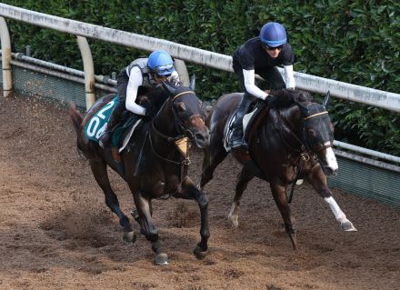 【小倉２歳Ｓ】未勝利馬初の重賞Ｖを狙うクラスペディア　河嶋調教師「厩舎の期待馬ですからね」