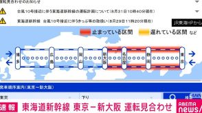 東海道新幹線 東京～新大阪駅間の全線で運転見合わせ