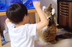 思わず二度見！ 息子のしぐさを完コピする猫、両前足を上げてちょいちょいする姿に「かわいすぎる」「ストレス吹っ飛んだ」と21万いいね