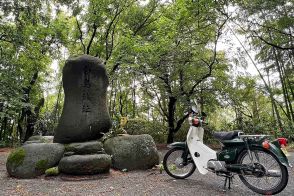 秀吉が越中の戦国時代を終わらせた舞台「白鳥城」へ　歩きやすく整備された山城だった