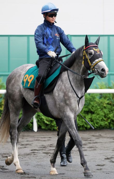 土曜メインレースの注目激走馬…札幌１１Ｒ札幌２歳ステークス・Ｇ３