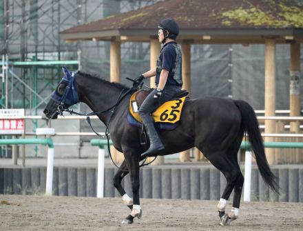 土曜新潟競馬場の注目激走馬…新潟１１Ｒ古町ステークス