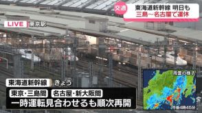 【台風10号】東海道新幹線　あすも三島～名古屋間で運休