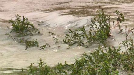 【暖かく湿った空気の影響】大雨続く　土砂災害に厳重に警戒