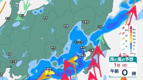 関東甲信地方ではあす1日の午前中にかけて線状降水帯発生の恐れ　あす1日の夕方にかけて土砂災害に厳重警戒【1時間ごと・2日午前6時までの雨風シミュレーション・31日午後7時現在】