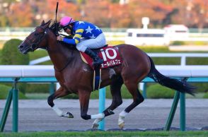 オールパルフェの競走馬登録抹消…2歳重賞で活躍