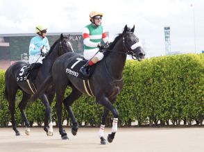 サクセッションの競走馬登録抹消…障害で活躍