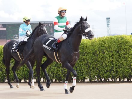 サクセッションの競走馬登録抹消…障害で活躍