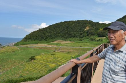 犠牲の妻子へ捧げる秋の実り　輪島の千枚田ボランティア「元の姿」目指し奮闘