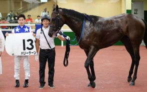 【中京新馬戦】ハリーケーン　楽々逃げ切り　水口「予想以上に強かった」