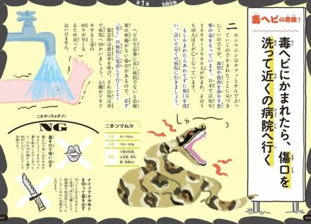 【応急処置の正解は？】ハチに刺された、毒ヘビにかまれた……！ 身近な危険生物に襲われたときの対処法