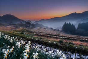 最優秀賞に古西さん（君津）　大山千枚田写真コン入賞作品決まる　鴨川（千葉県）