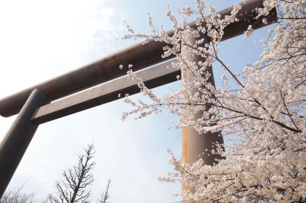 靖国神社の石柱に「Toilet」「軍国主義」と落書き、放尿動画も…相次ぐ中国人の落書きで警視庁のメンツが“丸つぶれ”に