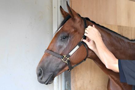 【小倉２歳Ｓ・コメントのツボ】エンドレスサマーがレース史上初の関東馬Ｖへ「広いコースになるのはいい」