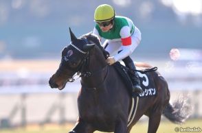 【新潟記念】光速の末脚炸裂！土曜競馬の「馬場傾向」から浮上した激アツの1頭