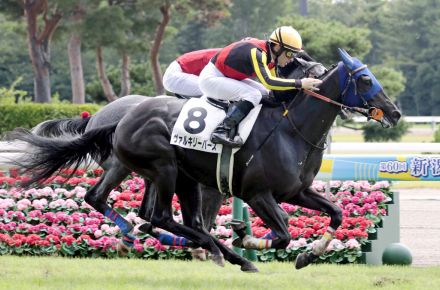 【新潟２Ｒ・２歳未勝利】素質馬ヴァルキリーバースが勝ち上がり　ルメール騎手「まだ緩い馬」