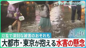 「1つ高いレベルの脅威に変わった」大都市・東京が抱える水害の懸念 荒川の氾濫で深刻な被害のおそれも　防災の日に考える夏の豪雨【サンデーモーニング】