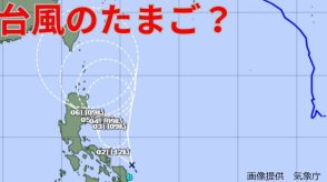 台風のたまごか　フィリピンの東に「熱帯低気圧」を観測と気象庁【1日午後1時5分発表】