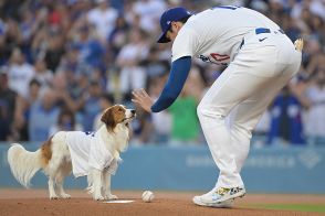 大谷がデコピンに向けた愛情表現に共感の嵐　「世界のオオタニもするんだ」「仲間や」ベンチで激写