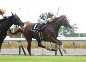 マイル界に新星候補！フォーチュンタイムが無傷３連勝／有松特別