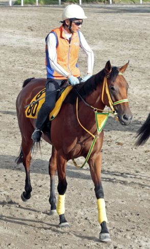 【新潟記念】シンリョクカが重賞初制覇　木幡初也騎手と竹内調教師もうれしい初タイトル