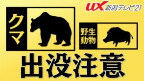 長岡市でクマ目撃　警察が注意呼びかけ【新潟】