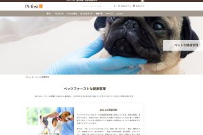 「“小さいうちに売った方が子犬のため”と発言」「“なんで客を帰した”と叱責」　ペット業界大手のブラック体質を関係者が告発