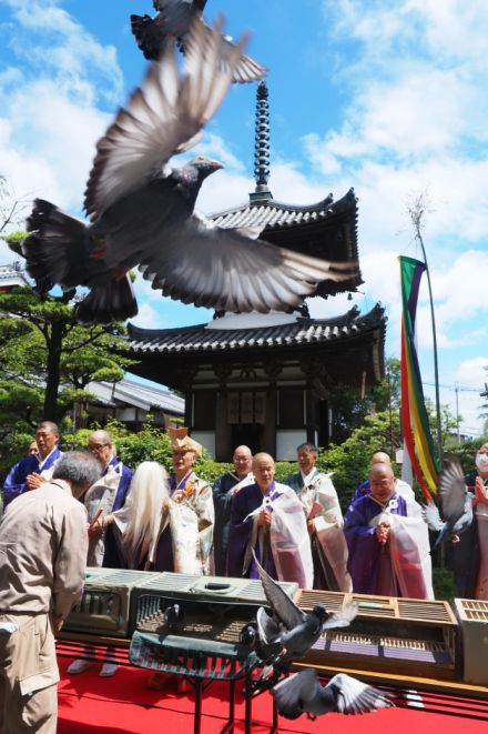 奈良斑鳩・吉田寺で「放生会」　ハト放ち「殺生」戒め