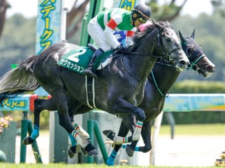 23年の新潟ジャンプS覇者サクセッションが登録抹消 今後は乗馬に