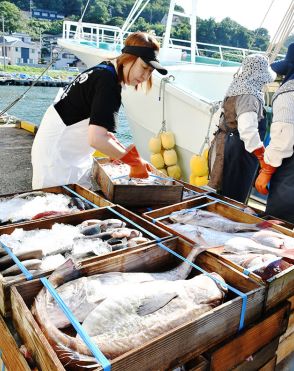 底引き網漁、水揚げ続々　庄内沖で解禁