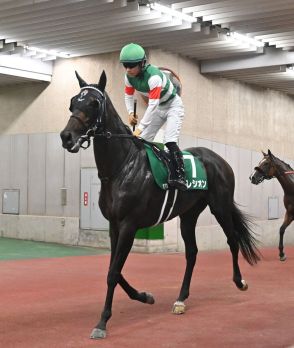 【新潟記念】セレシオンがメンバー最速の上がり3ハロン32秒8で2着　荻野騎手「行き脚がつきませんでした」