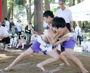 土俵狭しと全力尽くす　酒田・鳥海小で相撲大会