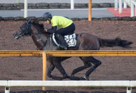 【京成杯ＡＨ・戸田の特注馬】セルバーグが逃走劇　開幕週の絶好馬場も追い風で一発あるなら今回