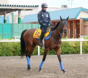 【セントウルＳ・松末の特注馬】キミワクイーンの末脚は中京コースで生きる　出来は高いレベルで安定