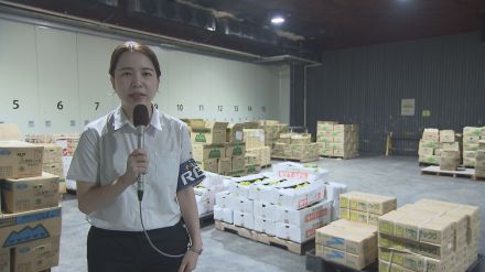 県外産野菜の品薄続く…台風10号の影響